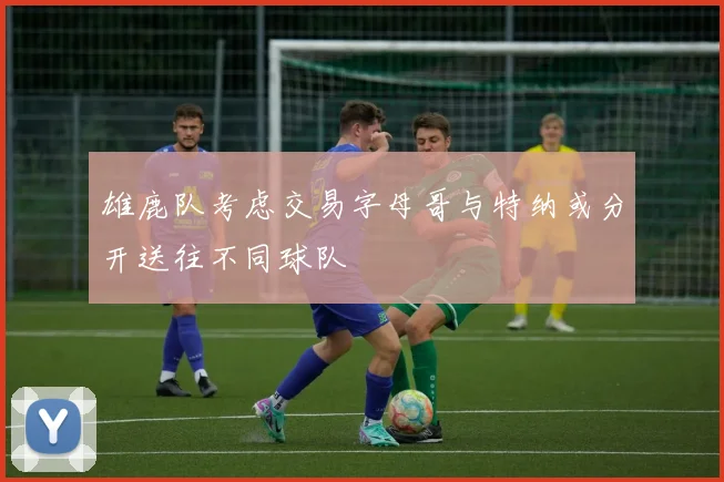 雄鹿队考虑交易字母哥与特纳或分开送往不同球队